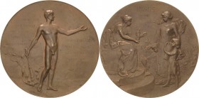 Geschenkmedaillen - Neues Jahrhundert
 Bronzemedaille 1900 (B. H. Mayer) Auf die Jahrhundertwende und die Weltausstellung in Paris. Jüngling löscht d...