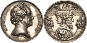 Personenmedaillen
Goethe, Johann Wolfgang 1749-1832 Silbermedaille 1986 (Replik einer Medaille von 1831) (Helmut König, nach A. Bovy) Goethe in Wiema...