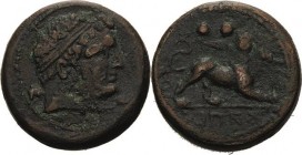 Kampanien Capua
 Bronze 3. Jahrhundert v. Chr. Jugendlicher Herakleskopf mit Diadem nach rechts / Löwe mit Speer im Maul nach rechts, darüber zwei Ku...