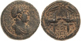 Kaiserzeit
Hadrian 117-138 Bronze 128/138, Berytus/Phoenicia Brustbild mit Lorbeerkranz nach rechts / COL BER zwischen zwei Legionsadlern Sawaya 59 R...