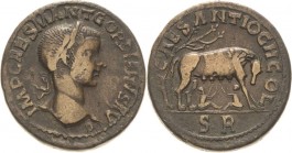 Kaiserzeit
Gordianus III. 238-244 Bronze, Antiochia/Pisidia Kopf mit Lorbeerkranz nahc rechts, IMP CAES M ANT GORDIANVS AVG / Lupa mit Zwillingen, CA...