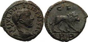 Kaiserzeit
Philippus II. 244-249 Bronze 244/249 Deultum/Thracia Kopf mit Lorbeerkranz nach rechts, IMP IVL PHILIPPVS CAES / Löwe nach rechts, CF PD. ...