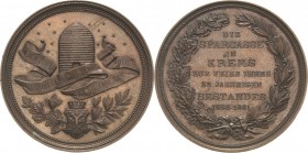 Kaiserreich Österreich
Franz Joseph I. 1848-1916 Bronzemedaille 1881 (Scharff) Auf das 25jährige Bestehen der Sparkasse in Krems. Schriftband vor Bie...