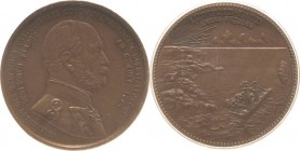 Medaillen
 Bronzemedaille 1884 (Lauer) Verkündung des deutschen Protektorats über Lüderitzland Angra-Pequena. Brustbild Kaisers Wilhelm I. nach recht...