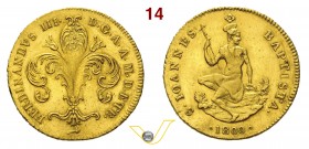 FIRENZE - FERDINANDO III DI LORENA (1791-1801 e 1814-1824) Ruspone 1800. Pag. 2 Au g 10,40 Rara • Moneta spazzolata, proveniente da montatura q.BB