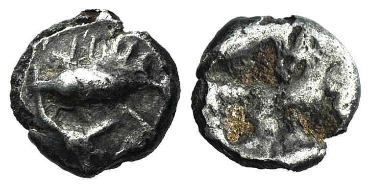 Mysia, Kyzikos, c. 600-550 BC. AR Hemiobol (7mm, 0.47g). Tunny l.; fish tail(?) ...