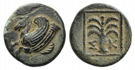 Troas, Skepsis, c. 400-310 BC. Æ (15mm, 3.43g, 6h). Forepart of Pegasos l. R/ Fir tree. SNG Copenhagen 475. Green patina, VF