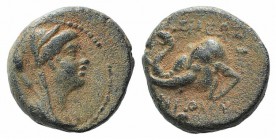 Seleukid Kings, Antiochos IV (175-164 BC). Æ (14.5mm, 4.43g, 12h). Antioch, c. 175-173/2. Veiled and diademed bust of Laodike IV r. R/ Head of elephan...