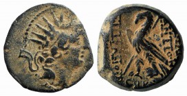 Seleukid Kings, Antiochos VIII (121/0-97/6 BC). Æ (19mm, 6.89g, 1h). Antioch. Radiate and diademed head r. R/ Eagle with closed wings standing r. on t...