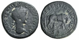 Gordian III (238-244). Pisidia, Antioch. Æ (34mm, 26.25g, 6h). Laureate head r. R/ She-wolf standing r. under tree, suckling the twins Romulus and Rem...