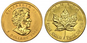 Canada - Elisabetta II (1952) 1/10 Oz .999 - 5 Dollari 2004 - Au

FDC