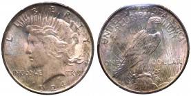 Stati Uniti d'America - 1 dollaro tipo "Pace" 1924 - zecca di Philadelphia - KM150 - Slab PCGS MS63 - Ag

n.a.