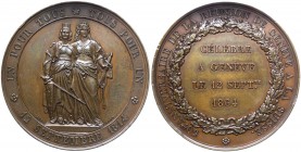 Svizzera - Medaglia Svizzera - 50° Anniversario riunificazione di Ginevra alla Svizzera 1864 - Ae - Colpetti Gr.59,28 Ø mm47 

n.a.
