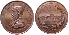 Medaglia realizzata per l' Accademia universale delle scienze e delle arti industriali - 1888 - Ae gr. 122 Ø mm 63,47 

n.a.