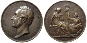 Medaglia per Francesco de Larderel ingegnere francese che promosse lo sfruttamento dei soffioni boraciferi toscani - 1858 - AE gr. 71 Ø mm 51,51 

F...