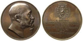 Medaglia in onore di Felice Le Monnier benemerito della biblioteca leopardiana - 1882 - AE gr. 54,8 Ø mm 46,46 

FDC