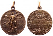 Medaglia della 6° divisione 1915-1918 - Commemorativa degli scontri cui prese parte - Opus Jhonson - AE gr. 11,05 Ø mm 30 

SPL