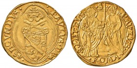 Roma. Paolo II (1464-1471). Ducato papale AV gr. 3,48. Muntoni 16. Berman 401. MIR 404/1. q.SPL