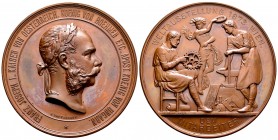 Austria. Franz Joseph I. Medalla. 1873. Viena. (Wurzb-2498). Ae. 148,00 g. Al mérito. Exposición mundial de Viena. Grabador: J. Tautenhayn. 70 mm. SC....