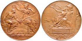 Francia. Medalla. 1889. Ae. 104,00 g. A Petronilo Arias en la Exposición Universal de París. Grabador: Lovis Botée. Golpes en el canto. 62 mm. EBC-. E...