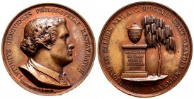 Medalla. 1769. (D´Auria-182). Ae. 48,35 g. Antonio Genovesis, filósofo de Salerno. Grabador: V. Catenacci. Pequeño golpe en el busto. 41 mm. EBC+. Est...