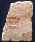 Romain - Brique en terre cuite de la Légion XIIII - 0 / 100 ap. J.-C.
Brique de la Légion XIIII GMV = Gemina Martia Victrix ("jumelle victorieuse grâ...