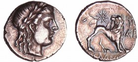 Ionie - Milet - Drachme (250-190 av. J.-C.) Magistrat Melanthios
A/ Tête d'Apollon à gauche.
R/ Lion à gauche, une étoile au-dessus.
SUP
GC.4507
...