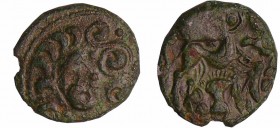 Ambiens - Bronze aux Animaux (60-40 av. J.-C.)
A/ Tête à droite, avec des volutes devant le visage.
R/ Cheval à droite, des animaux devant la tête e...