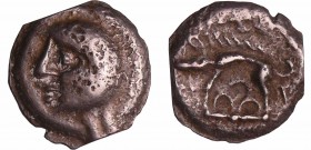 Haute Seine - Potin à la tête chauve - Classe II (75-50 av. J.-C.)
A/ Tête chauve à gauche, un trait en creux au milieu du cou.
R/ Sanglier à gauche...