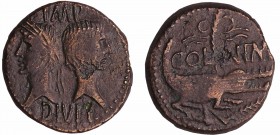 Agrippa et Auguste - Dupondius de Nîmes (10-14 av. J.-C., Nîmes)
A/ IMP DIVI F P P. Têtes adossées d'Auguste tête laurée, et d'Agrippa, la tête coiff...