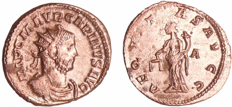 Carin - Aurélianus (283-284, Lyon)
A/ IMP C M AVR CARINVS AVG. Buste radié drap...