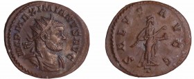 Maximien Hercule - Aurélianus (290-291, Lyon)
A/ IMP MAXIMIANVS AVG. Buste radié et cuirassé à droite. 
R/ SALVS AVGG // T. La Santé debout à droite...