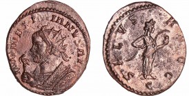 Maximien Hercule - Aurélianus (Lyon)
A/ IMP MAXIMIANVS AVG Buste radié à gauche, tenant un sceptre surmonté d'un aigle de la main droite. 
R/ SALVS ...