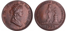 France - Révolution - Médaille Marie Thérèse fille du roi Louis XVI, victime des infamies révolutionnaires, 1793
SUP
Hennin-Julius.342
Bronze ; 10....