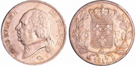 Louis XVIII (1815-1824) - 5 francs au buste nu 1817 B (Rouen)
SUP
Ga.614-F.309
Ar ; 25.14 gr ; 37 mm