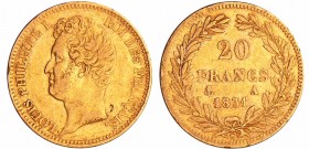 Louis-Philippe Ier (1830-1848) - 20 francs tête nue tranche en relief 1831 A (Paris)
TTB
Ga.1030a-F.525
Au ; 6.43 gr ; 21 mm