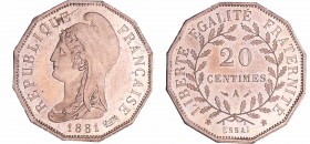 Troisième république (1871-1940) - 20 centimes 1881 A (Paris) essai flan à 12 pans
FDC
Maz.2246-EMPF 49.1
Maillechort ; 4.49 gr ; 24 mm