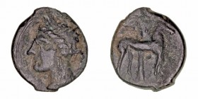 Cartago
AE-16. (siglo IV a.C.). A/Cabeza de Tanit a izq. R/Caballo parado a der., detrás palmera. 2.25g. GC.6444 vte. MBC.