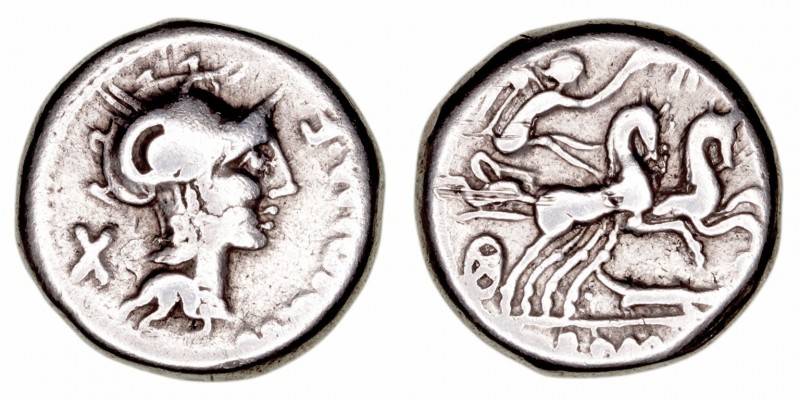 Cipia
Denario. AR. (115-114 a.C.). A/Cabeza de Roma a der., detrás X y delante ...