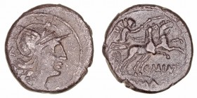 Maiania
Denario. AR. Roma. (153 a.C.). A/Cabeza de Roma a der., detrás X. R/Victoria con látigo en biga a der., debajo C· MAIANI, en exergo (ROMA). 3...