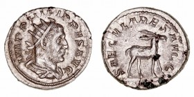 Filipo I
Antoniniano. AR. (244-249). R/SAECVLARES AVGG. Antílope a der. 5.29g. RIC.19. Puntos de verdín. (EBC-).