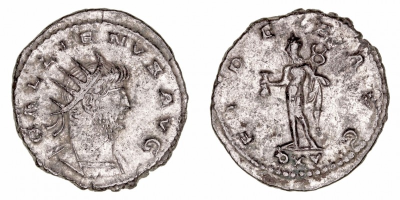 Galieno
Antoniniano. VE. Antioquía. (253-268). A/FIDES AVG., en exergo PXV. Mer...