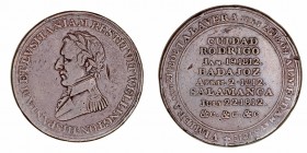 Medalla. AE. Victorias del Duque de Wellington en las diversas ciudades frente a las tropas Napoleónicas (1812). 8.54g. 27.00mm. Golpecitos. (BC).