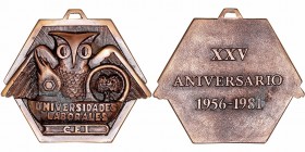Medalla. AE. Universidades Laborales CEI, XXV Aniversario 1956-1981. 80.00mm. Hexagonal y con anilla. Puntos de verdín. (MBC).