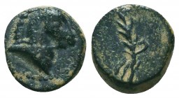 PONTOS. Uncertain. Ae (Circa 130-100 BC). 
Obv: Head of horse right. 
Rev: Filleted palm frond. 
Cf. SNG BM Black Sea 984

Condition: Very Fine

Weigh...