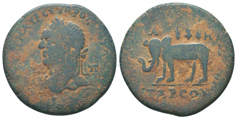 CILICIA. Tarsus. Caracalla (198-217). Ae. 

Obv: AVT KAI M AVP CEVHPOC ANTΩNEINO...