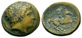 Kings of Macedon. Philip . 336-323 BC, Ae

Weight: 6,18 gr
Diameter: 18,40 mm