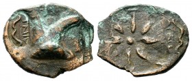 Pontos. Uncertain mint. Time of Mithradates VI Eupator circa 130-100 BC. AE bronze

Weight: 6,75 gr
Diameter: 25,00 mm