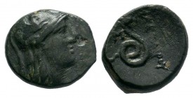 Pergamum Mysia - Asklepios - Serpent Bronze 200-20 BC

Weight: 4,04 gr
Diameter: 16,00 mm