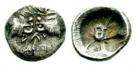 Caria, Incertum.5th Century BC.AR Obol

Weight: 0,43 gr
Diameter: 8,50 mm